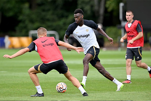 บาดิอาชิล และ โบรฆา พร้อมบู๊ เดอะ เชอร์รี่ส์