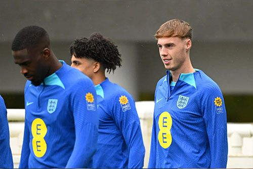 พาลเมอร์ รับติดทีมชาติเป็นโบนัสจากการย้ายซบ สิงห์บลูส์